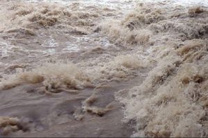 पञ्चमी नुहाउन गएकी २४ वर्षीय महिलाको खोलाले बगाएर मृत्यु