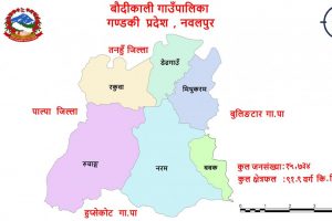 बौैंदीकाली गाँउपालिकामा ३८ जना कोरोना संक्रमण मुक्त