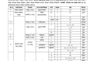नवलपुरका २० सहित गण्डकी प्रदेशमा थप ४७ जनामा काेरोना पुष्टि ( विवरण सहित)