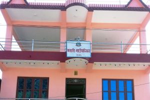 वडाध्यक्षकी आमालाई तेहोरो भत्ता !