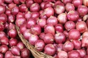 प्याजमा नेपाली व्यापारीको मनोमानी सुरु