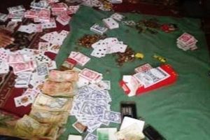 कावासाेती र विनयीत्रिवेणीबाट १५ जुवाडे पक्राउ ! (नाम सहित)