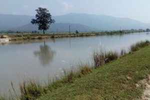 ईरिक्सा अचानक स्टार्ट हुँदा ५ वर्षीय बालक गण्डक नहरमा डुबी बेपत्ता