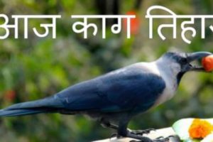 दोस्रो ठूलो चाड तिहार सुरु, आज कागको पूजा गरिँदै