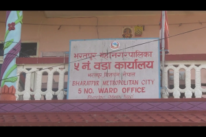 फर्जी बाबु बनाउन खोज्दा भरतपुर ५ का वडा अध्यक्ष सहित १० जना कानुनी दायरामा 