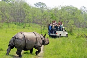 चितवन राष्ट्रिय निकुन्जमा अखेटोपहार सहित तस्करीमा संलग्न तीनजना पक्राउ