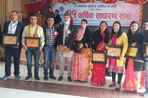 चितवनका चारजना पत्रकार सम्मानित
