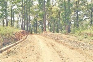 नवलपुरलाई गण्डकी प्रदेशको राजधानीसँग जोड्ने सडक निर्माणको काम सुस्त