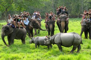 चलायमान बन्दै सौराहामा पर्यटकीय गतिविधि