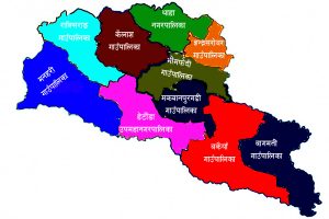 मकवानपुरमा गाडीमा आगजनी