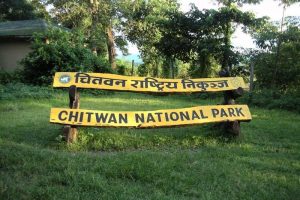 चितवन राष्ट्रिय निकुञ्ज ५० औँ वर्षमा प्रवेश , संरक्षणमा चुनौती कायमै