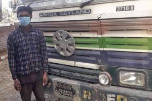 चितवनको रत्ननगरमा ट्रकको ठक्करबाट हरिणको मृत्यु