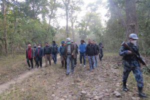 त्रिवेणी-कोरोला सडक निर्माणमा चितवन राष्ट्रिय निकुञ्ज बन्यो बाधक