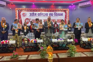 निजी क्षेत्रलाई सरकारले सहजीकरण गरिदिनुपर्छ : वरिष्ठ उपाध्यक्ष ढकाल
