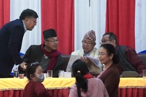 खनाल-नेपाल समूहले शनिबार संगठन विस्तार तथा सुदृढीकरण अभियान घोषणा गर्ने