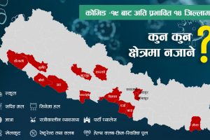 १४ जिल्ला कोरोनाबाट अति प्रभावित, विद्यालय पनि नजान अपील
