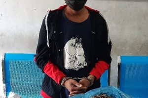 सात किलो गाँजा सहित चितवनमा एक युवा पक्राउ