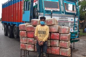 २७० किलो गाँजासहित चितवनमा भारतिय नागरिक पक्राउ