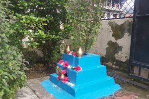 तुलसीको बिरुवा रोपेर हरिशयनी एकादशी मनाइँदै