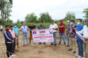 राष्ट्रिय युवा संघ कालिकाले बाढी प्रभावित क्षेत्रमा ७ सय विरुवा रोप्यो (फोटो फिचर)