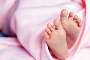 भरतपुरकाे विकासचोकमा बसकाे ठक्करबाट ८ बर्षिय बालकको मृत्यु