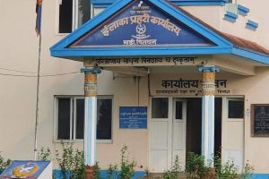 माडीमा वालिका बलात्कार आरोपित एक युवक पक्राउ