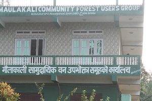 मौलाकाली वनमा हरीप्रसादको नेतृत्व ! (को कुन पदमा हेर्नुस)