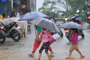 अबको केही दिन लगातारजसो पानी पर्ने