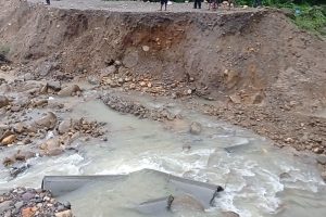 गैँडाकोटको भेडावारी जंगलमा सडक पुनः अवरुद्ध