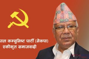 चितवनका तीन स्थानीय तहमा एकीकृत समाजवादी शून्य, सबै जनप्रतिनिधि एमालेमा