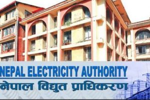 विद्युत प्राधिकरणले अब इन्टरनेट र केबल तार नकाट्ने