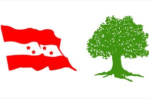 कांग्रेस काठमाण्डौको १० पालिकामा आज अधिवेशन हुँदै