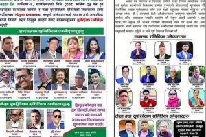 चितवनमा सहकारीको निर्वाचन : एमाले- माओवादी गठबन्धन र कांग्रेस बीच चुनावी प्रतिस्पर्धा