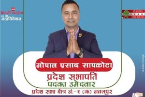 काँग्रेस महाधिवेशन : १२० मत गणना हुँदा १३ मतले गोपालप्रसाद सापकोटालाई अग्रता ( अपडेट )