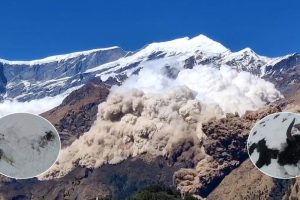हिमपहिरोमा १२० चौरी बेपत्ता
