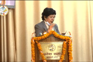 बागमती प्रदेश सांसद वाग्ले महाधिवेशन प्रतिनिधिमा पराजित