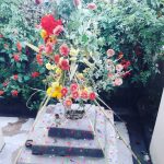 हरि बोधिनी एकादशी -तुलसीलाई दामोदरसँग विवाह गरिँदै