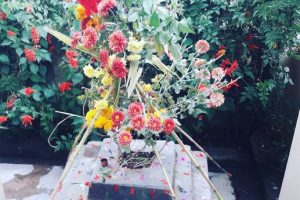 हरि बोधिनी एकादशी -तुलसीलाई दामोदरसँग विवाह गरिँदै