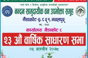नन्दन सामुदायिक वनकाे अध्यक्षमा काँग्रेसकै २ उमेदवार : मंसिर १९ गते चुनाव हुने