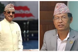 कांग्रेस उपसभापतिमा पूर्णबहादुर खड्का र धनराज गुरुङ निर्वाचित