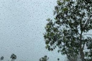 देशभरको मौसम बद्ली : पश्चिमी क्षेत्रमा पानी पर्न सुरु, हिमाली जिल्लामा भारी हिमपातको सम्भावना