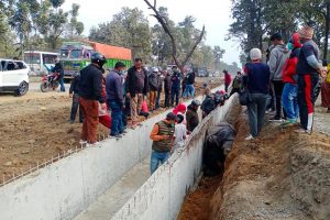 गैंडा मरेको घटनामा ठेकेदार कम्पनीका सञ्चालकलाई पक्राउपूर्जी
