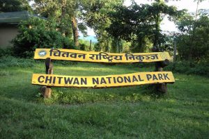 चितवन राष्ट्रिय निकुञ्जका संवेदनशील क्षेत्रमा सिसी क्यामेरा जडान
