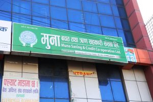 भरतपुरमा रहेको मुना बचत ऋण सहकारीबाट ठगिए बचतकर्ता