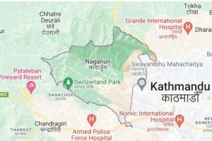 नागार्जुनमा एकै परिवारका पाँच जना बेहोस भेटिए, एककाे मृत्यु