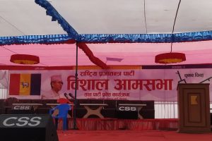 चितवनमा राप्रपाको शक्ति प्रदर्शन हुदै
