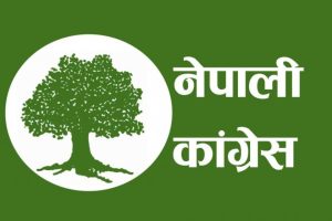 भरतपुर महानगरको मतपत्रमा मेयरसहित सबै सात पदमा रुख चिन्ह छापिने