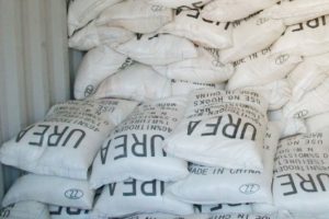 चितवनमा असार ६ गतेदेखि मल वितरण गरिने