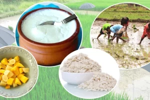 आज असार १५, राष्ट्रिय धान दिवस मनाइँदै
