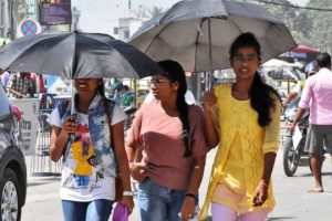 चितवनमा आज यस वर्षकै सबैभन्दा धेरै गर्मी, तापक्रम ३८ डिग्री